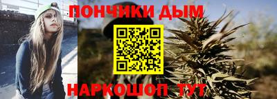 шишки Изобильный