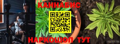 шишки Изобильный