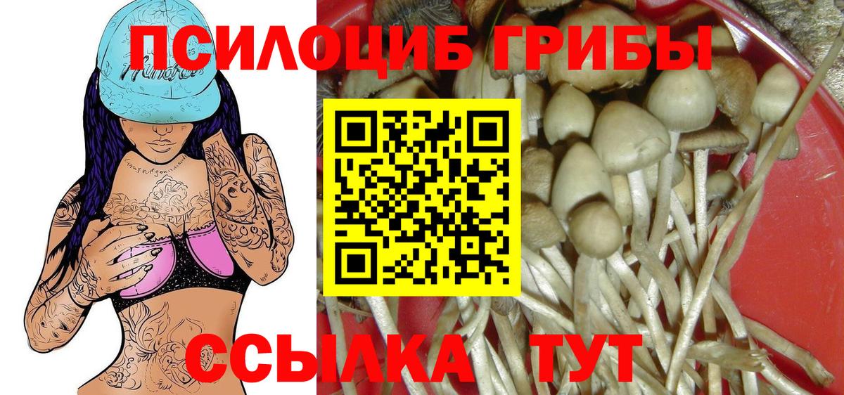 купить наркоту  Вход с VPN  Лянтор  Галлюциногенные грибы Psilocybine cubensis 