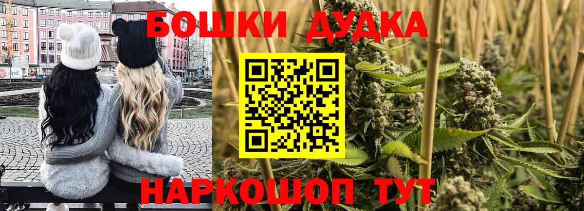 Бошки Шишки семена Лянтор